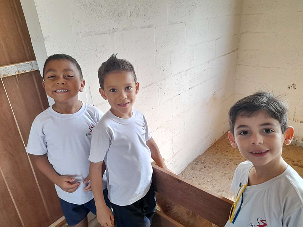 EFI-criatorio-pestana (17)