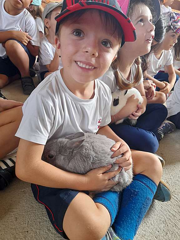 EFI-criatorio-pestana (19)