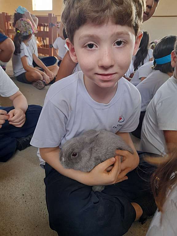 EFI-criatorio-pestana (22)