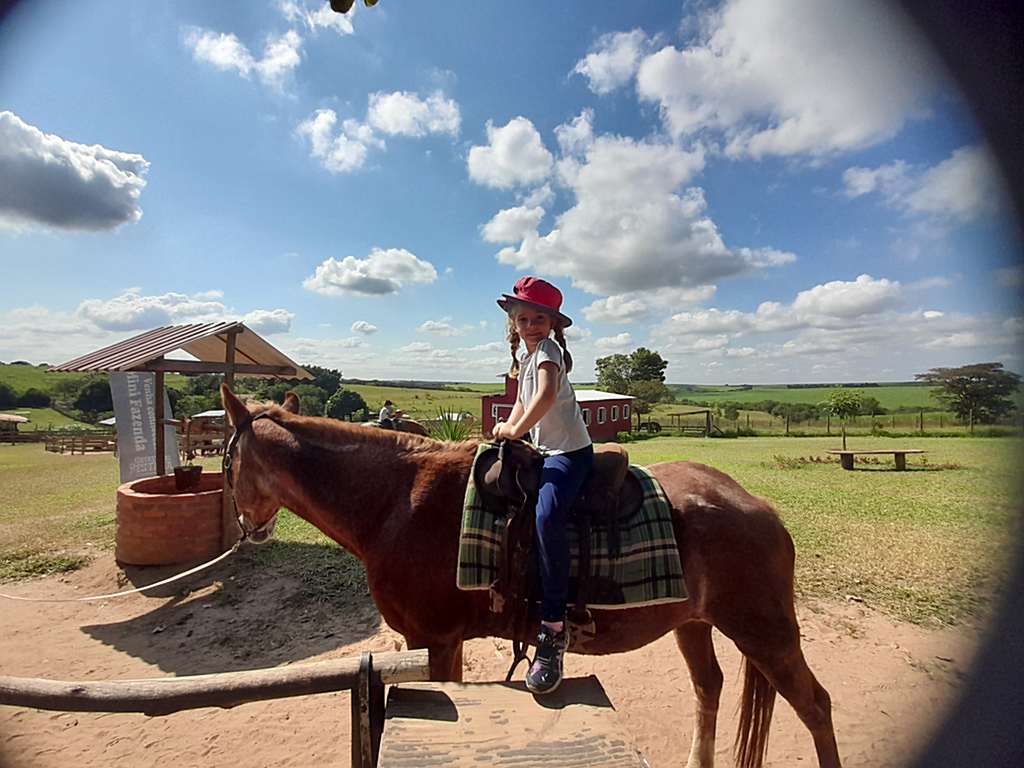 EFI-criatorio-pestana (23)