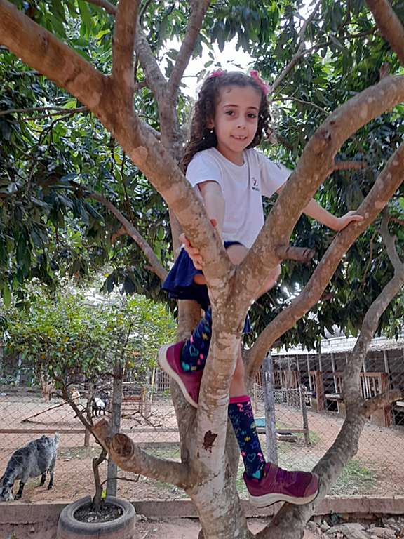 EFI-criatorio-pestana (26)