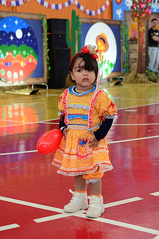 educação_infantil_festa_junina (10)