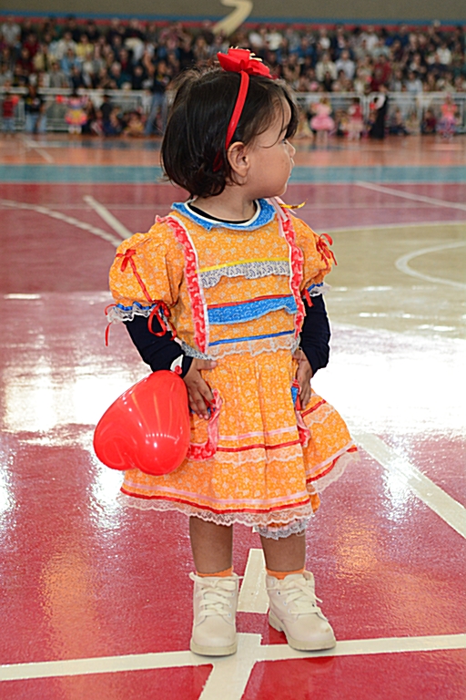 educação_infantil_festa_junina (8)